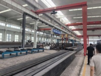 Edificio de Estructura Metálica Prefabricada de Diseño Moderno y Personalizado, Taller, Almacén