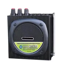 Daile Amplifier AT100, Pengeras Suara Luar Ruangan dengan TF/Radio FM/Rekaman Daya Tinggi