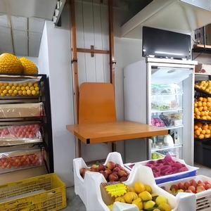 Elevador Hidráulico de Carga de Acero de Alta Resistencia Queen of Quality con Eslingas de Cadena y Rieles de Guía Eléctricos para Comercios y Hoteles (Nuevo) - Product Image 4