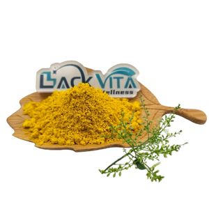 Precio al por mayor 95% Quercetina en polvo HPLC Sophora Japonica Extracto de quercetina - Product Image 2