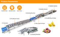 Sus304 Groentewasmachine Vortex Fruitwasmachine Aardappel Passievrucht Reinigings- en Polijstlijn
