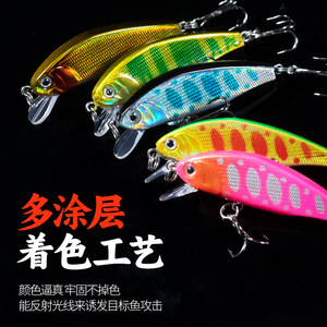 Leurre Ikeba Minnow Cr12252 2, leurre de fond à coulée lente pour la pêche aux poissons d'eau douce - Product Image 4