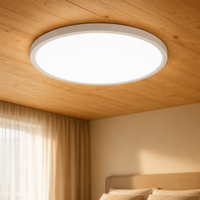 En stock, homologué ETL, panneau lumineux LED rond ultra fin de 12 pouces, luminaire LED à intensité variable 5CCT, plafonnier LED pour bureau, maison, commerce