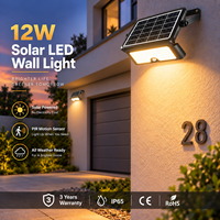 Lampu Sorot Tenaga Surya Garansi 3 Tahun LED Lumen Tinggi IP65 Tahan Air Multi-warna 3000K 4000K 600K Opsional Lampu Dinding Tenaga Surya