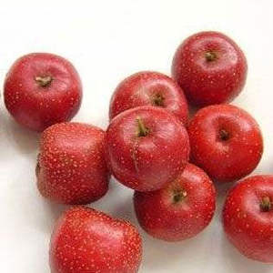 Giá tốt nhất chất lượng cao springjia táo gai chiết xuất từ quả 10:1 2% vitexin táo gai Berry chiết xuất bột cấp thực phẩm trống/chai - Product Image 3