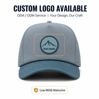 Casquette de baseball personnalisée OEM pour le golf, perforée au laser, avec patch en caoutchouc, casquette snapback pour hommes, sports de plein air