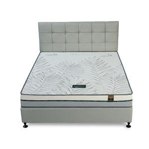 Colchón de cama de aceite de palma de lujo tamaño Queen, colchón de cama ecológico antimicrobiano para dormitorio escolar, Vietnam directo - Product Image 1