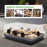 Kit de culture de champignons en plastique à faible entretien avec 8 aérations et humidification automatique, capacité de 30L pour une croissance plus rapide des pleurotes