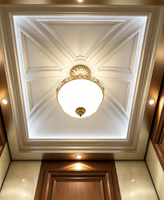 Ascensore Passeggeri Fareo Moderno in Acciaio Inox Senza Ingranaggi AC - Durevole, Sicuro, Facile Installazione e Funzionamento, per Appartamenti