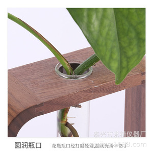 Walnut Wood Glass Hydroponic Planter Desktop Decoration Plant Growing Vase - Product Image 4