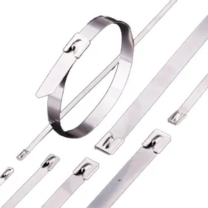 Zip Tie Ball Jenis Self-Lock Wrap Kawat Manajemen Ikatan Kabel SS 304/316 Stainless Steel Dilapisi Poliester Industri Hitam Alami