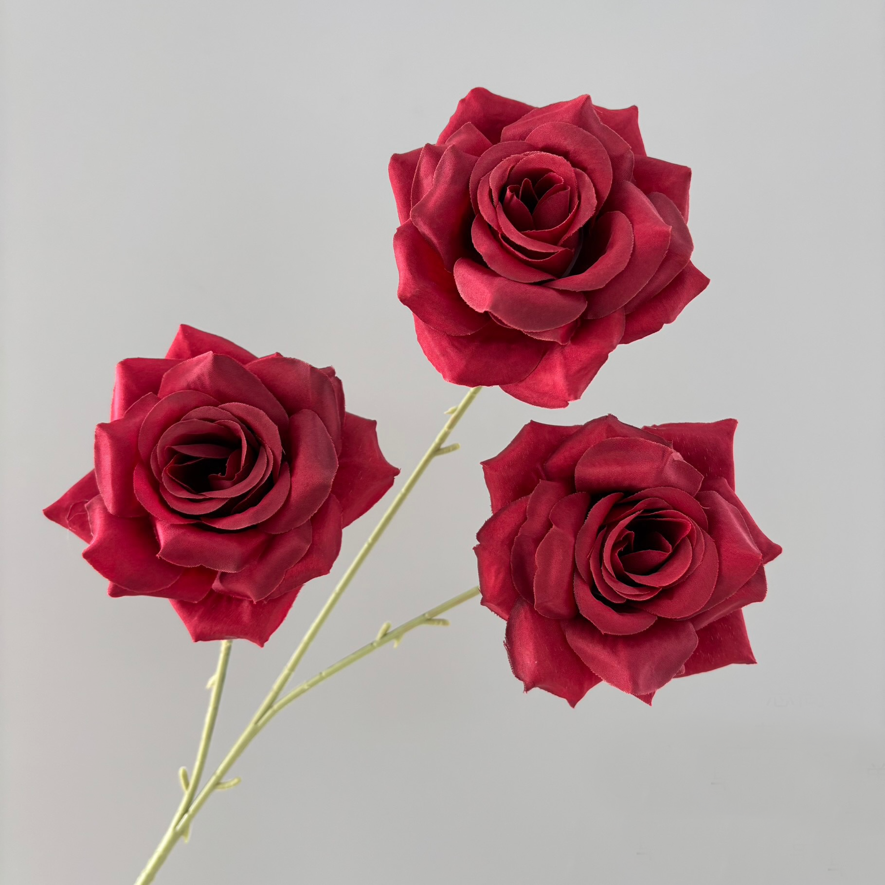 มณฑลเบอร์กันดี