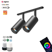 Capteur de mouvement KNX Casambi Matter Dali 0-10V, variateur de lumière LED orientable, éclairage intelligent Wifi Alexa, RGB DMX Zigbee Tuya, projecteur