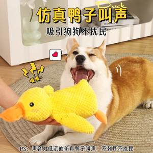 Jouet en peluche pour chien en forme de canard, jouet sonore pour chiens de petite, moyenne et grande taille, pour jouer en intérieur - Product Image 2