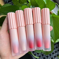 Rouge à lèvres liquide mat longue tenue, haute pigmentation, 65 couleurs, étanche, marque privée, vente en gros, gloss à lèvres personnalisé, maquillage