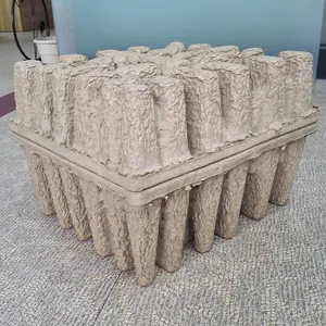 Khay Đóng Gói Giấy Có Thể Phân Hủy Sinh Học Khay Ép Khô Có Thể Phân Hủy Được - Product Image 4