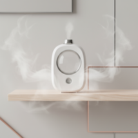 Mini diffuseur d'arômes rechargeable écologique avec port Type-C pour usage domestique et hôtelier, diffuseur de parfum portable