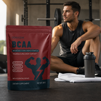 Usine GMP, vente en gros, emballage personnalisé, supplément d'acides aminés pour les culturistes, récupération après l'exercice, poudre de BCAA