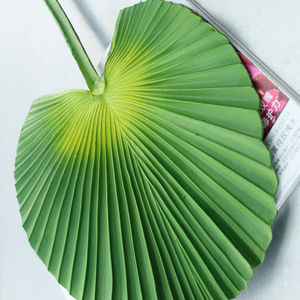 Feuilles de palmier artificielles en gros, fleurs, feuilles de <span class=keywords><strong>bananier</strong></span> japonaises, couleur verte, grandes feuilles, style moderne, fête des mères, Noël - Product Image 6