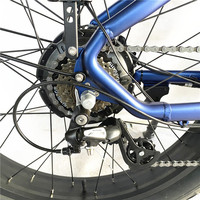 Bicicleta Eléctrica de Montaña con Llantas Gruesas de Alta Calidad Fabricada en China Directamente de Fábrica, Bicicleta Eléctrica para Hombre con Certificado CE
