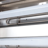 Rôtissoire Verticale Professionnelle à Gaz pour Poulet et Canard, Four de Cuisson Industriel, en Promotion