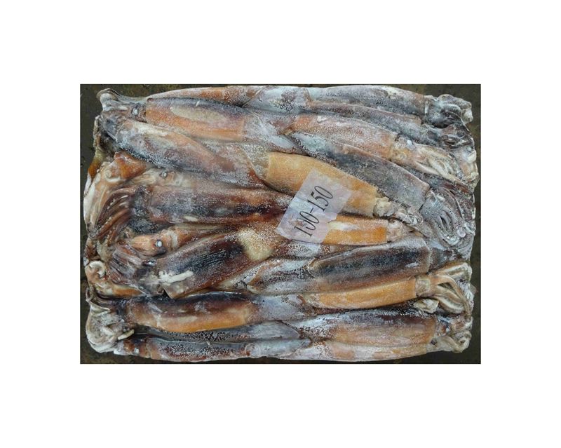 X6854 HACCP Frozen Argentine Squid Manufacturer
