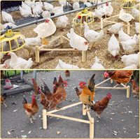 Support de nidification triangulaire JQ pour poulets, perchoir en bambou pour poulets, barres de repos en bois pour poulets, perchoir pour poulets pour poulailler et couveuse