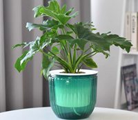 Jardinières suspendues auto-arrosantes Pots de fleurs d'intérieur Panier suspendu extérieur de 6.5 pouces avec 3 crochets Trous de drainage