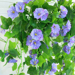 Guirlande de fleurs artificielles en soie Morning Glory de Ning Xueer, décoration murale pour la maison, rose, violet, vert, 120 cm - Product Image 3