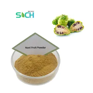 Factory Supply Noni Juice Extract Nutritional Healthcare Supplement Noni Fruit Extract Powder