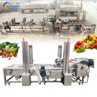 Industriële reinigingsmachine voor de verwerking van fruit en groenten, capaciteit 100-1000 kg voor groente- en fruitkiemen