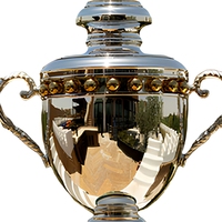 Trophée sportif de la Ligue des Champions avec logo personnalisé, trophée en résine personnalisé gravé
