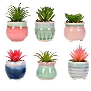 Vasi in Ceramica per <span class=keywords><strong>Piante</strong></span> <span class=keywords><strong>Grasse</strong></span> Artificiali, Mini Giardino Succulento da Scrivania per Casa, Ufficio e Matrimonio - Product Image 5