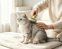 Brosse démêlante autonettoyante pour animaux de compagnie, personnalisable avec logo OEM, marque privée, pour chien et chat, commande en gros, faible MOQ, fournisseur en gros