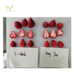 <span class=keywords><strong>Strawberry</strong></span> Fresh IQF de qualité supérieure <span class=keywords><strong>Strawberry</strong></span> Frozen Premium <span class=keywords><strong>Strawberry</strong></span> IQF Supply pour les grossistes et les distributeurs - Product Image 4