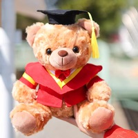 Figurines d'ours en peluche de graduation en gros, vêtements de cérémonie inclus, comme cadeaux commémoratifs pour les activités de remise des diplômes