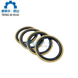 Anillos Rotatorios STD para Cilindros Hidráulicos, Sellos de Aceite Personalizados O.E.M. para Piezas Hidráulicas - Product Image 4
