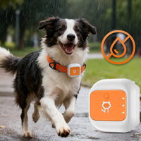 Collier de suivi GPS étanche G01 pour chien/chat, localisateur anti-perte