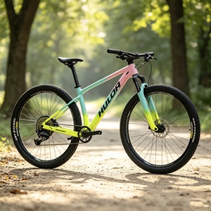 Bicicletta <span class=keywords><strong>in</strong></span> Carbonio FLM CAESAR 29er MTB a 11 Velocità con Freni Idraulici e Forcella Rigida OEM - Product Image 1