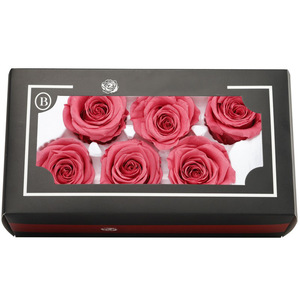 Venta al por Mayor de Cabezas de Rosas Preservadas Reales, Color Mocha Mousse Blanco, Rosa Eterna para Decoración de Bodas, Manualidades, Rosa Eterna en Flor - Product Image 4
