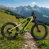Vélo de montagne électrique en gros, 26 pouces, pneus larges, E-MTB, vélo électrique avec clignotants