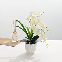 Nieuwe aanwinst decoratie bloemen orchidee binnenplant kunstplant pot simulatie Phalaenopsis orchidee planten bonsai