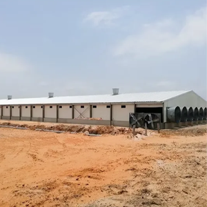 Edificio Prefabbricato Minimalista in Acciaio Leggero Zincato per Allevamento di Pollame e Uffici con Garanzia di 5 Anni - Product Image 4