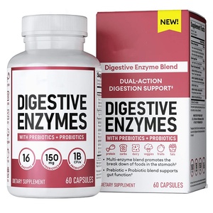 Hot Sale Probiotic Capsules for Adults 500mg Promote <strong>Digestion</strong> Custom Wholesale Factory <strong>Processing</strong> Cross-Border Applicable - Product Image 1