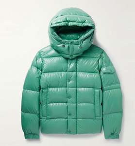 Veste d'hiver en duvet brillante de style loisirs de plein air, personnalisée, chaude, en polyester, coupe-vent - Product Image 2