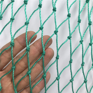 Dokuma düğümsüz siyah anti-kuş ağı, üzüm ağır kuş kontrol örgü, kare örgü kuş örgü - Product Image 6