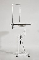 FT-838 Aeolus Table de toilettage de levage d'air pour animaux de compagnie Hauteur réglable Fourniture d'usine de luxe Assurance qualité Table de toilettage pour chiens