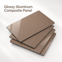 Panneau composite en aluminium brillant 4 mm, taille personnalisée, couleur or champagne, panneau ACM pour les murs de réception d'hôtel