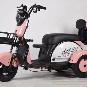 800/1000W Enclosed Electric Tricycle Three Wheel Closed Passenger Vehicle with 30km <b>Driving</b> Mileage EEC/DOT/GCC Certified - Product Image 6