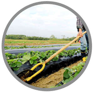 El alzamiento de temperatura requiere productos agrícolas, y los campos están cubiertos con película plástica de PE de doble color para refrigeración. - Product Image 5